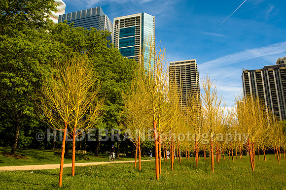 Painted Trees
