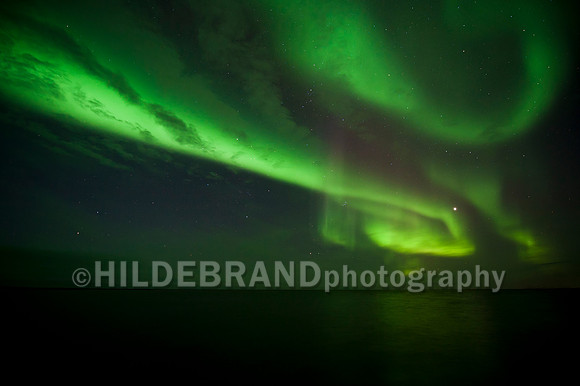 Arctic Aurora